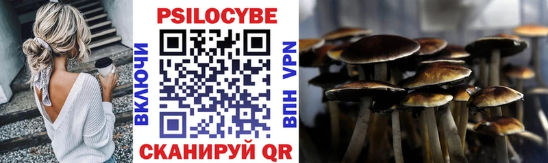 Галлюциногенные грибы Psilocybine cubensis Красавино